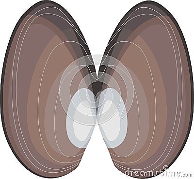 Shell of mussel mollusk Vector Illustration